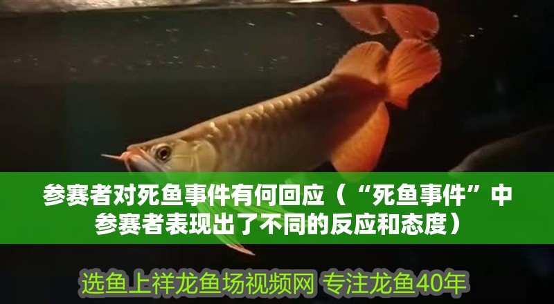 參賽者對死魚事件有何回應（“死魚事件”中參賽者表現出了不同的反應和態度）