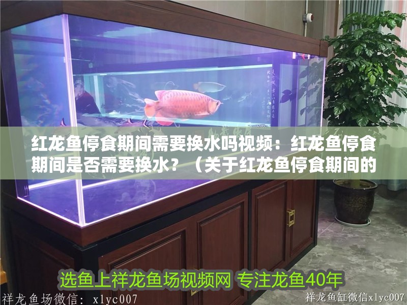 紅龍魚停食期間需要換水嗎視頻：紅龍魚停食期間是否需要換水？（關于紅龍魚停食期間的換水問題）