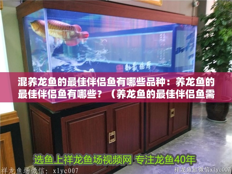 混養龍魚的最佳伴侶魚有哪些品種：養龍魚的最佳伴侶魚有哪些？（養龍魚的最佳伴侶魚需要考慮到龍魚的品種、性格以及魚缸環境）