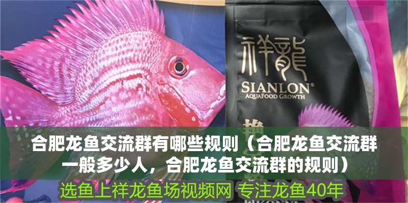 合肥龍魚交流群有哪些規則（合肥龍魚交流群一般多少人，合肥龍魚交流群的規則）