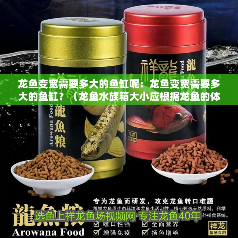 龍魚變寬需要多大的魚缸呢：龍魚變寬需要多大的魚缸？（龍魚水族箱大小應(yīng)根據(jù)龍魚的體型增長和體型增長趨勢(shì)）