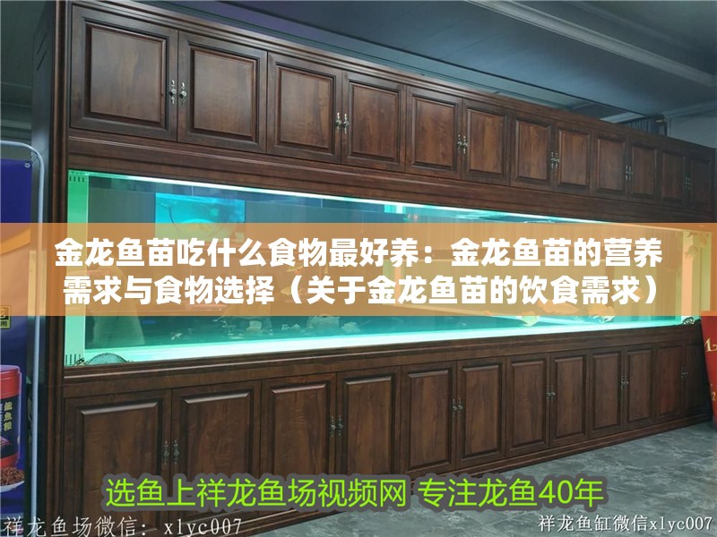 金龍魚苗吃什么食物最好養：金龍魚苗的營養需求與食物選擇（關于金龍魚苗的飲食需求）