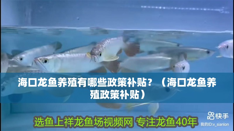 魚缸用增氧泵價格是多少:魚缸增氧機-xtrac增氧機-xtrac增氧機 海口龍魚養殖有哪些政策補貼?(海口龍魚養殖政策補貼) 龍魚百科 海口龍魚養殖有哪些政策補貼?(海口龍魚養殖政策補貼) 海口龍魚養殖有哪些政策補貼?(海口龍魚養殖政策補貼) 龍魚百科