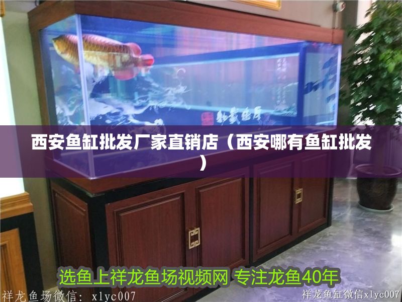 <strong><mark>西安</mark></strong>魚缸批發廠家直銷店（<strong><mark>西安</mark></strong>哪有魚缸批發）