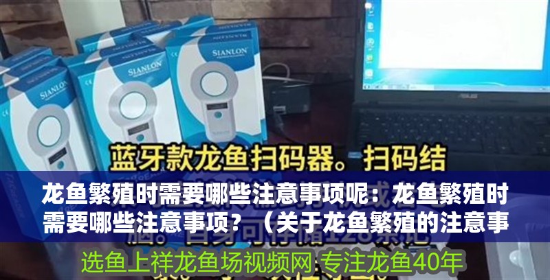 龍魚繁殖時需要哪些注意事項呢：龍魚繁殖時需要哪些注意事項？（關于龍魚繁殖的注意事項）