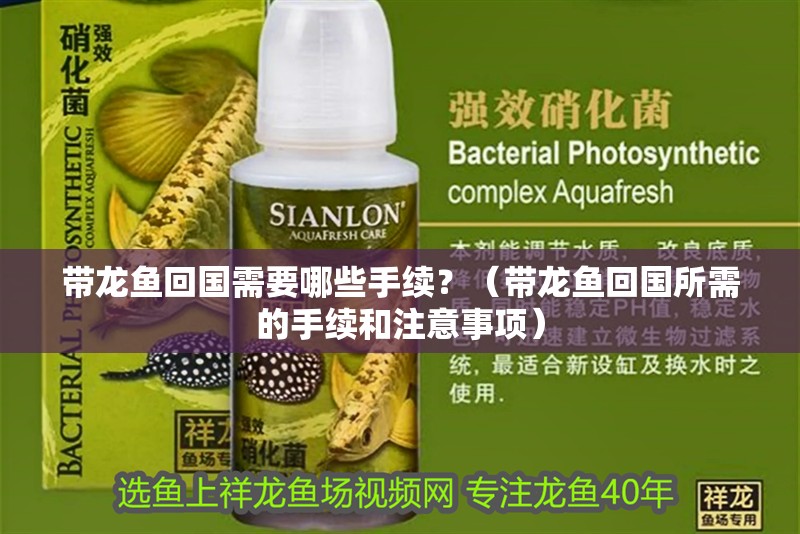 帶龍魚回國需要哪些手續？（帶龍魚回國所需的手續和注意事項）