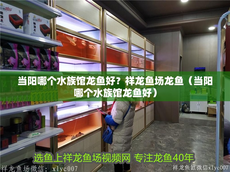 當陽哪個水族館龍魚好？祥龍魚場龍魚（當陽哪個水族館龍魚好）