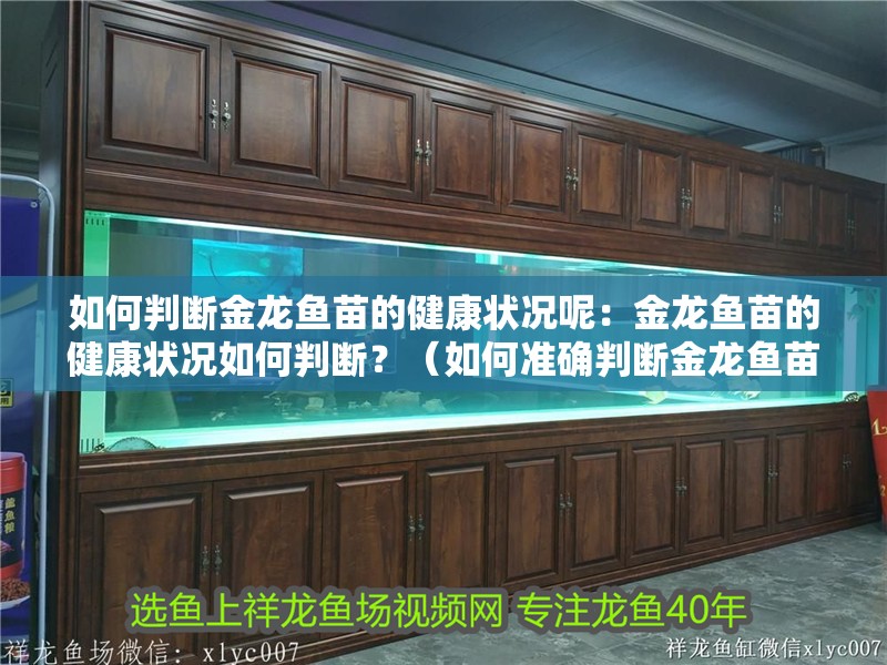 如何判斷金龍魚苗的健康狀況呢：金龍魚苗的健康狀況如何判斷？（如何準確判斷金龍魚苗的健康狀況）