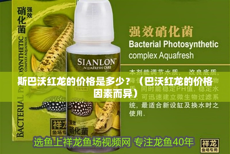 斯巴沃紅龍的價(jià)格是多少？（巴沃紅龍的價(jià)格因素而異）
