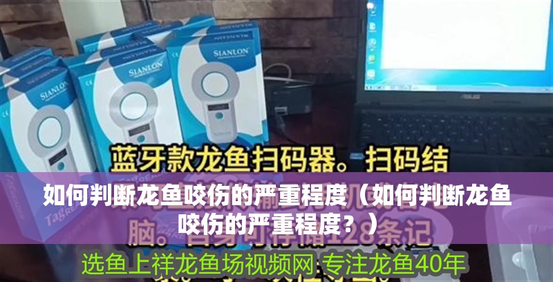 如何判斷龍魚咬傷的嚴重程度（如何判斷龍魚咬傷的嚴重程度？）