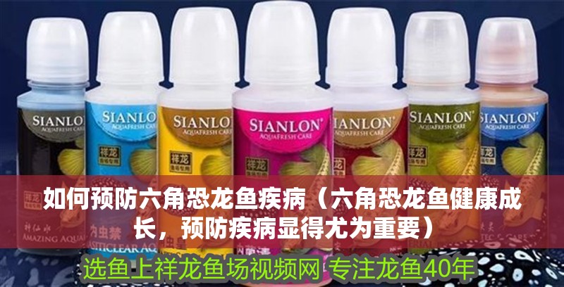 如何預防六角恐龍魚疾病（六角恐龍魚健康成長，預防疾病顯得尤為重要）