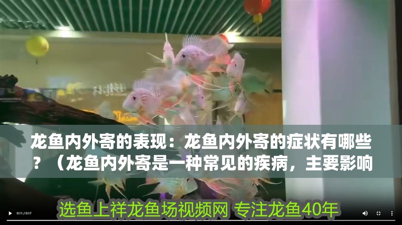 龍魚內外寄的表現：龍魚內外寄的癥狀有哪些？（龍魚內外寄是一種常見的疾病，主要影響龍魚的消化系統和呼吸系統）