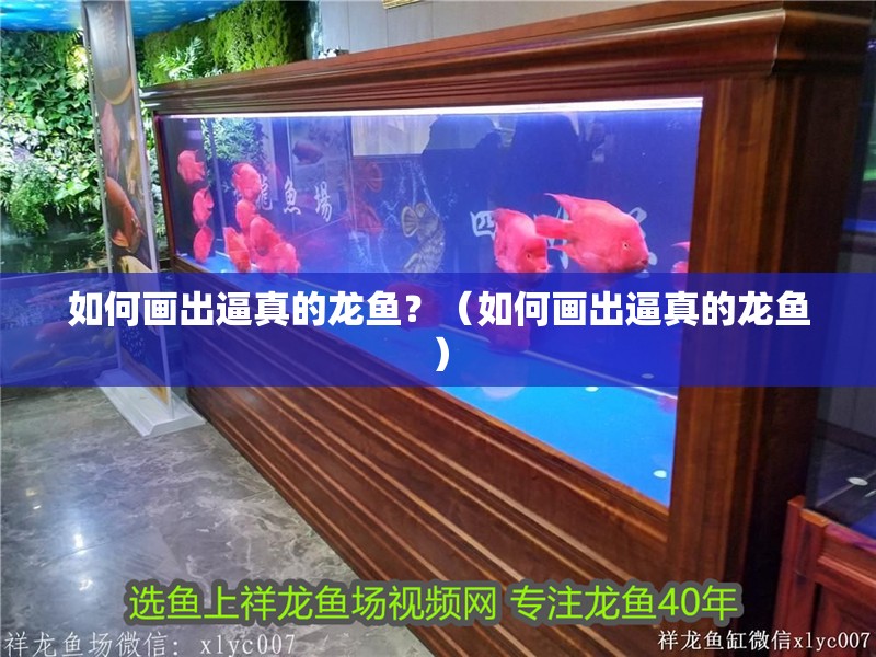 如何畫出逼真的龍魚？（如何畫出逼真的龍魚）