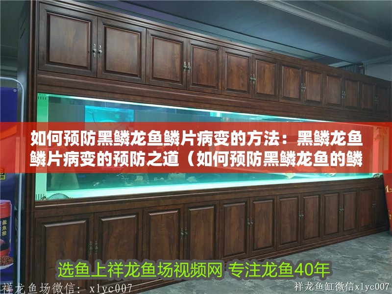 如何預防黑鱗龍魚鱗片病變的方法：黑鱗龍魚鱗片病變的預防之道（如何預防黑鱗龍魚的鱗片病變）