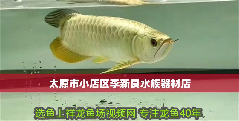 太原市小店區李新良水族器材店