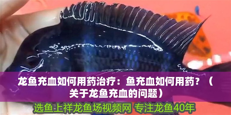 龍魚充血如何用藥治療：魚充血如何用藥？（關于龍魚充血的問題）