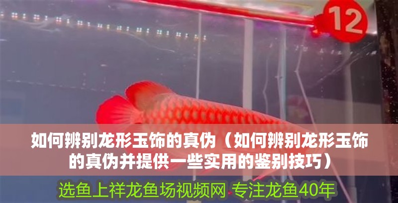 如何辨別龍形玉飾的真偽（如何辨別龍形玉飾的真偽并提供一些實用的鑒別技巧）