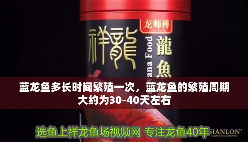 藍(lán)龍魚多長時間繁殖一次，藍(lán)龍魚的繁殖周期大約為30-40天左右