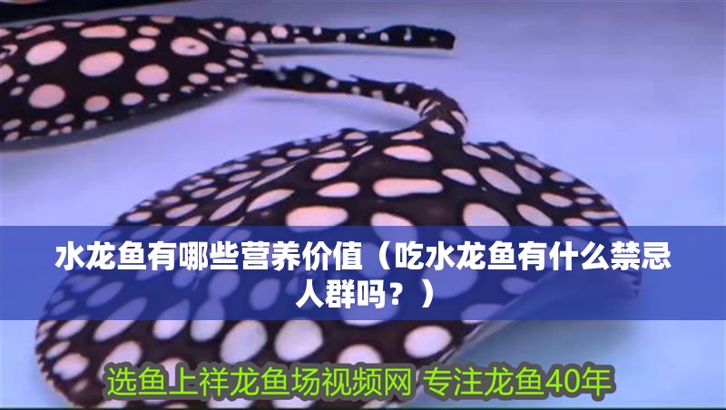 水龍魚有哪些營養價值（吃水龍魚有什么禁忌人群嗎？）