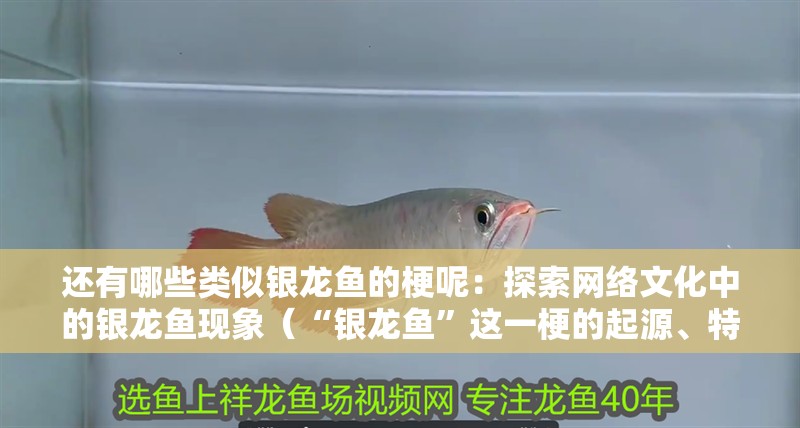 還有哪些類似銀龍魚的梗呢：探索網絡文化中的銀龍魚現象（“銀龍魚”這一梗的起源、特點以及它如何成為網絡文化中的一個重要符號）
