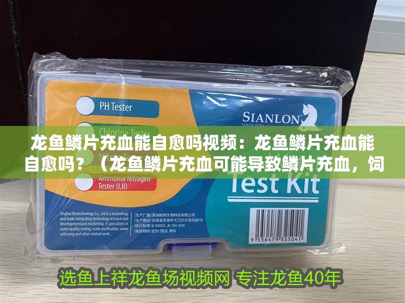 龍魚鱗片充血能自愈嗎視頻：龍魚鱗片充血能自愈嗎？（龍魚鱗片充血可能導致鱗片充血，飼養者應注意的問題）