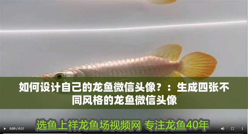如何設計自己的龍魚微信頭像？：生成四張不同風格的龍魚微信頭像