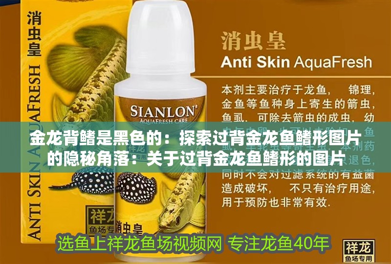 金龍背鰭是黑色的：探索過背金龍魚鰭形圖片的隱秘角落：關(guān)于過背金龍魚鰭形的圖片