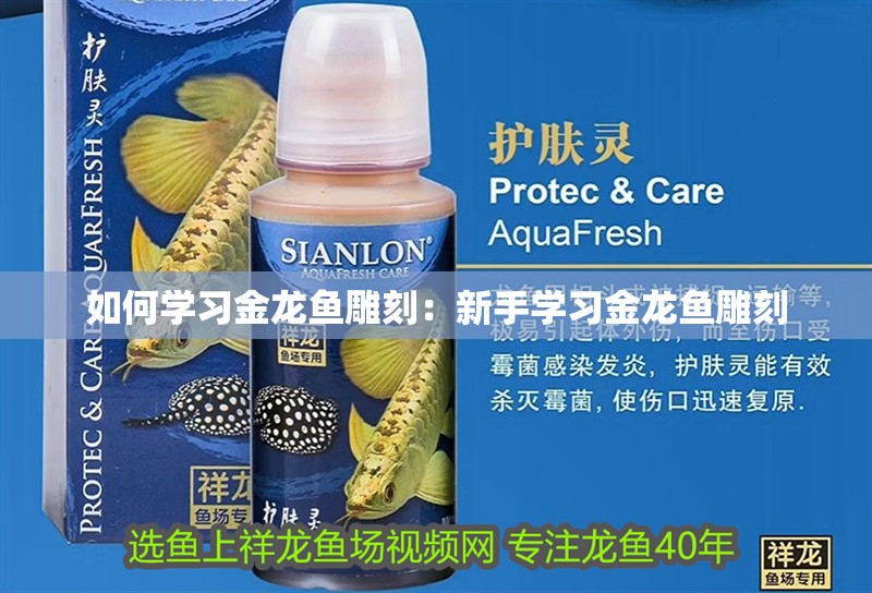 如何學習金龍魚雕刻：新手學習金龍魚雕刻