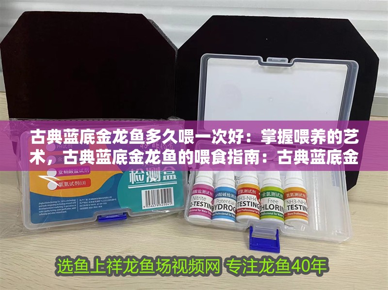 古典藍底金龍魚多久喂一次好：掌握喂養的藝術，古典藍底金龍魚的喂食指南：古典藍底金龍魚的喂養