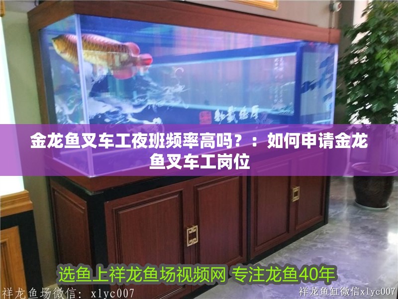 金龍魚叉車工夜班頻率高嗎？：如何申請(qǐng)金龍魚叉車工崗位