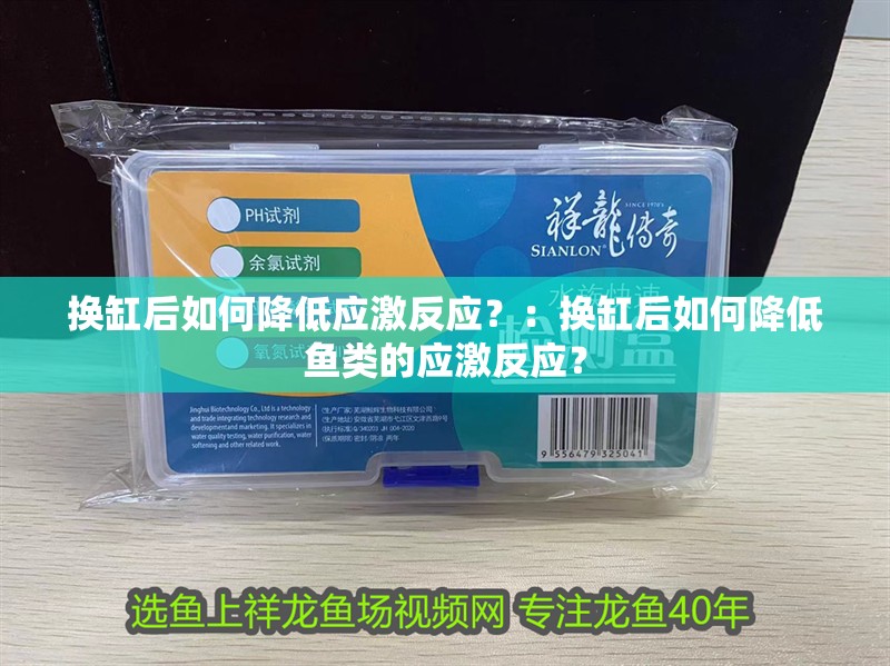 魚缸過濾器選購指南:自制魚缸過濾器魚缸上置過濾器對于養魚愛好者的必備知識 換缸后如何降低應激反應?:換缸后如何降低魚類的應激反應? 龍魚百科 換缸后如何降低應激反應?:換缸后如何降低魚類的應激反應? 換缸后如何降低應激反應?:換缸后如何降低魚類的應激反應? 龍魚百科