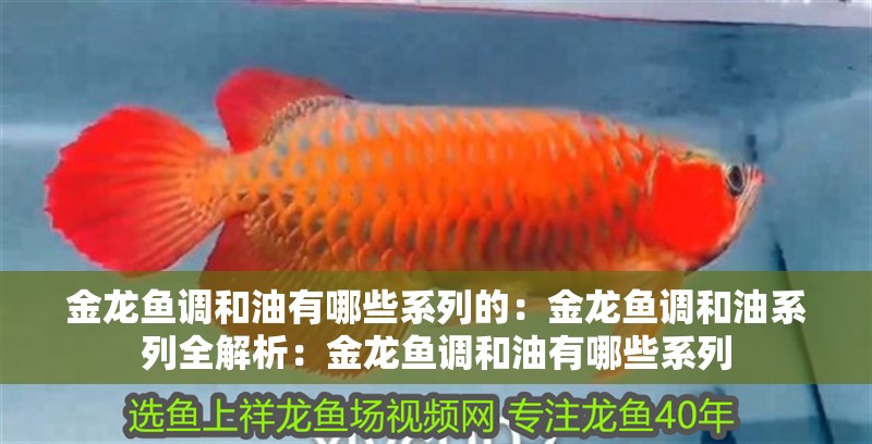 金龍魚調(diào)和油有哪些系列的：金龍魚調(diào)和油系列全解析：金龍魚調(diào)和油有哪些系列