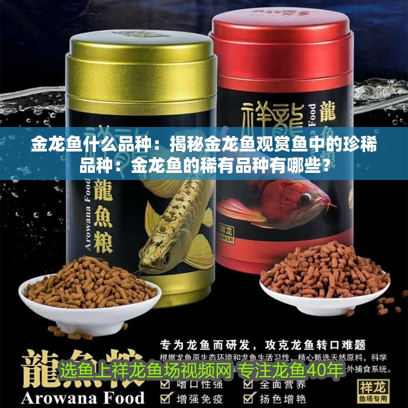 金龍魚什么品種：揭秘金龍魚觀賞魚中的珍稀品種：金龍魚的稀有品種有哪些？