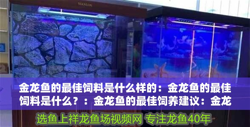 金龍魚的最佳飼料是什么樣的：金龍魚的最佳飼料是什么？：金龍魚的最佳飼養建議：金龍魚的最佳飼料飼養建議