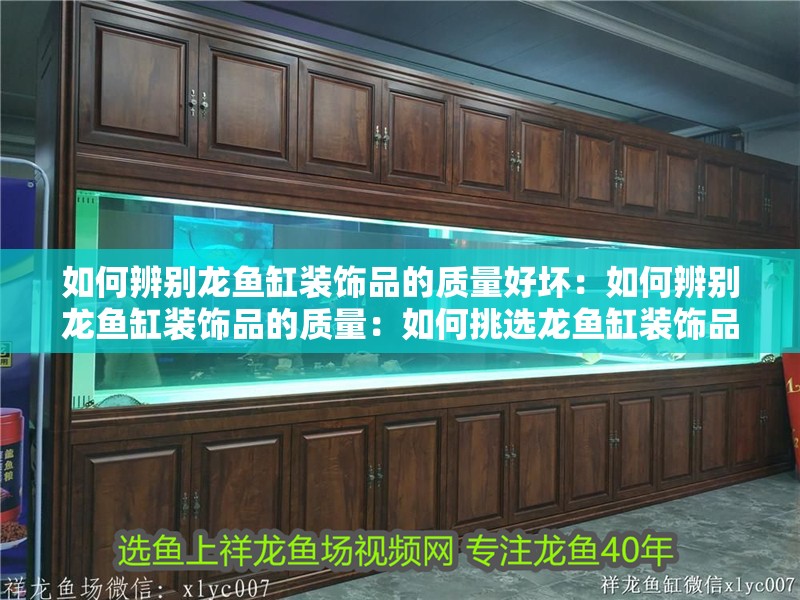如何辨別龍魚缸裝飾品的質量好壞：如何辨別龍魚缸裝飾品的質量：如何挑選龍魚缸裝飾品