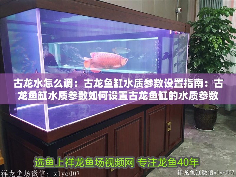 古龍水怎么調：古龍魚缸水質參數設置指南：古龍魚缸水質參數如何設置古龍魚缸的水質參數