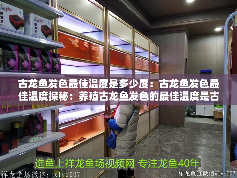 古龍魚發(fā)色最佳溫度是多少度：古龍魚發(fā)色最佳溫度探秘：養(yǎng)殖古龍魚發(fā)色的最佳溫度是古龍魚發(fā)色的最佳溫度