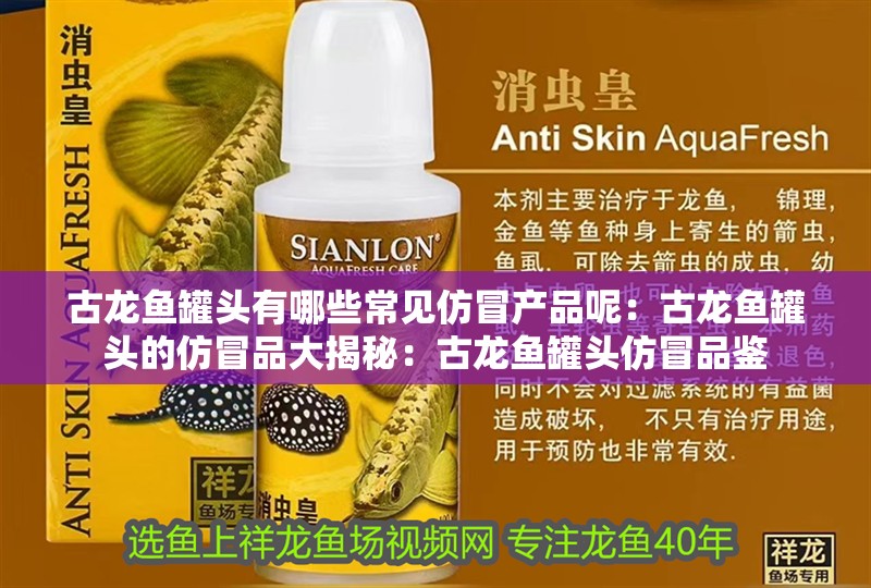古龍魚罐頭有哪些常見仿冒產品呢：古龍魚罐頭的仿冒品大揭秘：古龍魚罐頭仿冒品鑒
