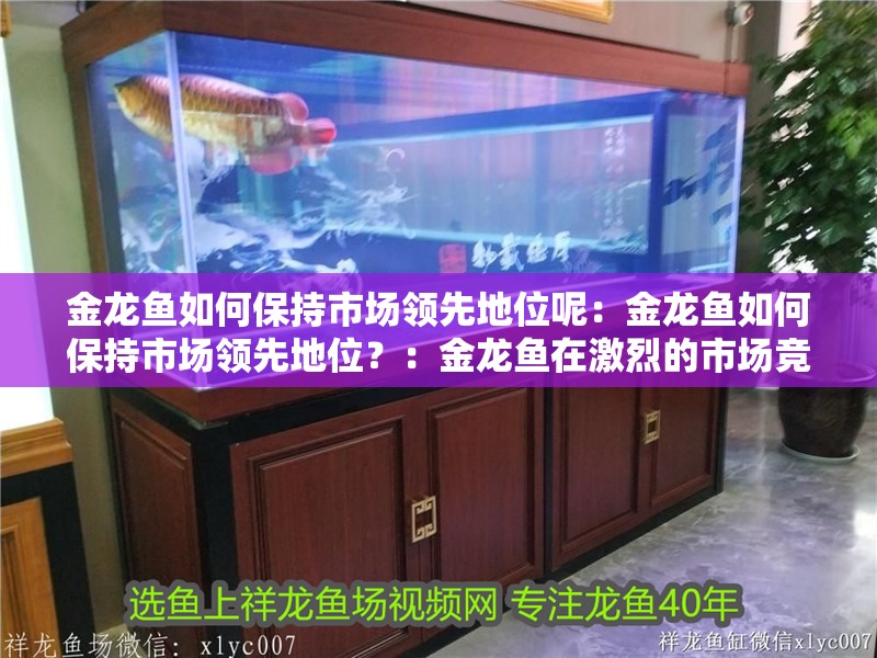 金龍魚如何保持市場領先地位呢：金龍魚如何保持市場領先地位？：金龍魚在激烈的市場競爭激烈市場競爭激烈的市場營銷策略