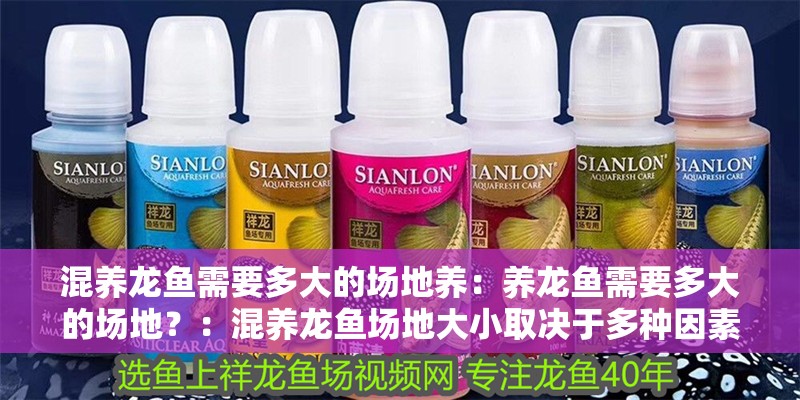 混養龍魚需要多大的場地養：養龍魚需要多大的場地？：混養龍魚場地大小取決于多種因素包括龍魚的種類和數量以及活動空間