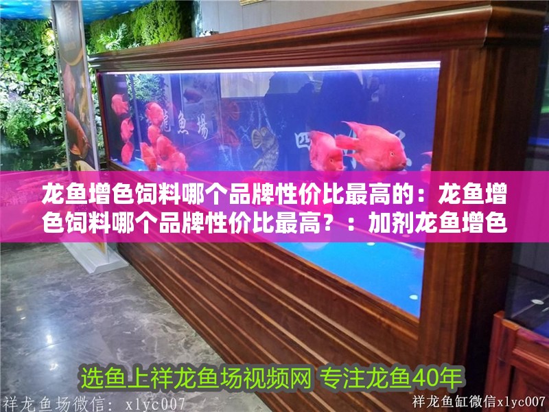 龍魚增色飼料哪個品牌性價比最高的：龍魚增色飼料哪個品牌性價比最高？：加劑龍魚增色飼料哪個品牌性價比最高
