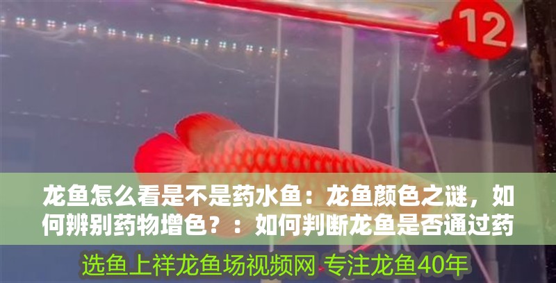 龍魚怎么看是不是藥水魚：龍魚顏色之謎，如何辨別藥物增色？：如何判斷龍魚是否通過藥物增色