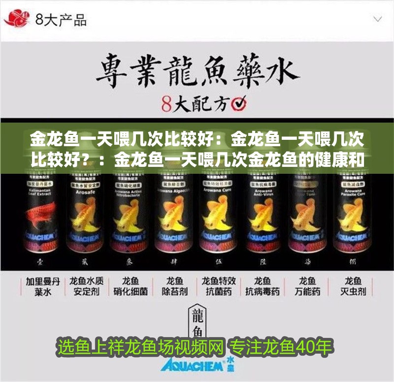 金龍魚一天喂幾次比較好：金龍魚一天喂幾次比較好？：金龍魚一天喂幾次金龍魚的健康和活力至關重要飼養方法