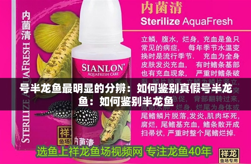 號半龍魚最明顯的分辨：如何鑒別真假號半龍魚：如何鑒別半龍魚
