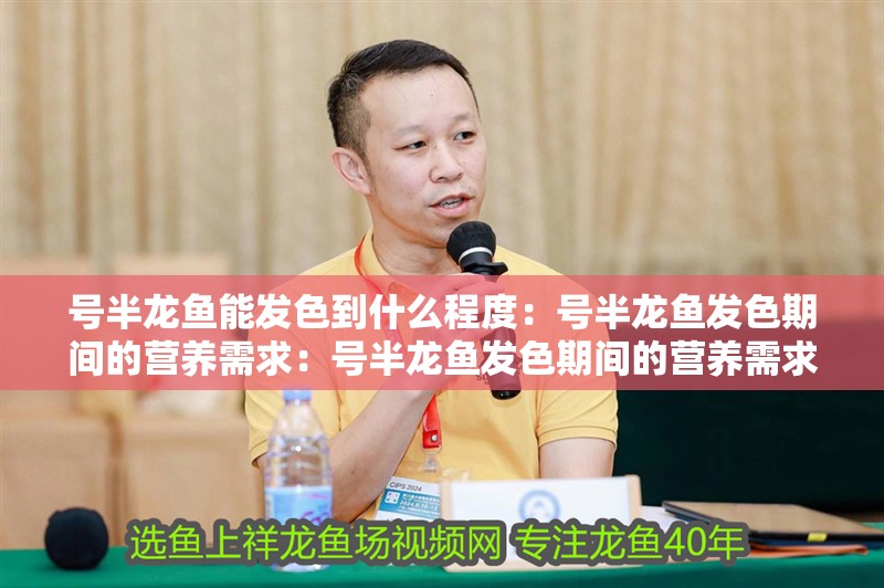 號半龍魚能發(fā)色到什么程度：號半龍魚發(fā)色期間的營養(yǎng)需求：號半龍魚發(fā)色期間的營養(yǎng)需求