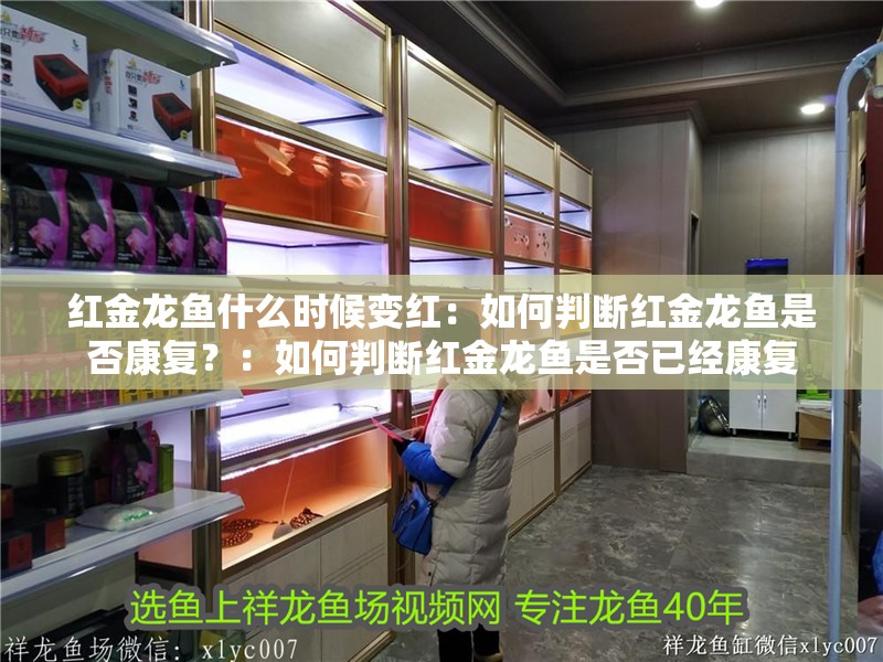 紅金龍魚什么時候變紅：如何判斷紅金龍魚是否康復？：如何判斷紅金龍魚是否已經康復