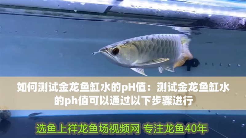 如何測試金龍魚缸水的pH值：測試金龍魚缸水的ph值可以通過以下步驟進(jìn)行