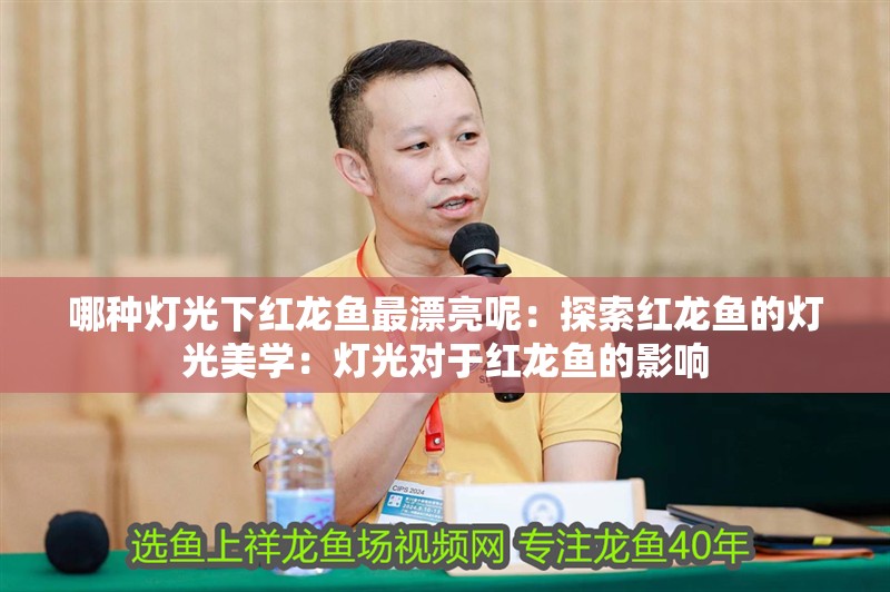 哪種燈光下紅龍魚最漂亮呢：探索紅龍魚的燈光美學(xué)：燈光對(duì)于紅龍魚的影響