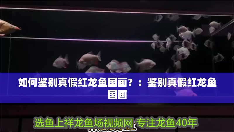 如何鑒別真假紅龍魚國畫？：鑒別真假紅龍魚國畫
