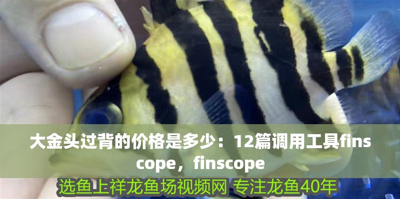 大金頭過背的價格是多少：12篇調用工具finscope，finscope
